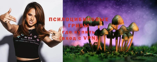 винт Абинск