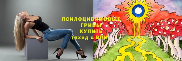 винт Абинск