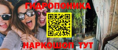 шишки Конаково