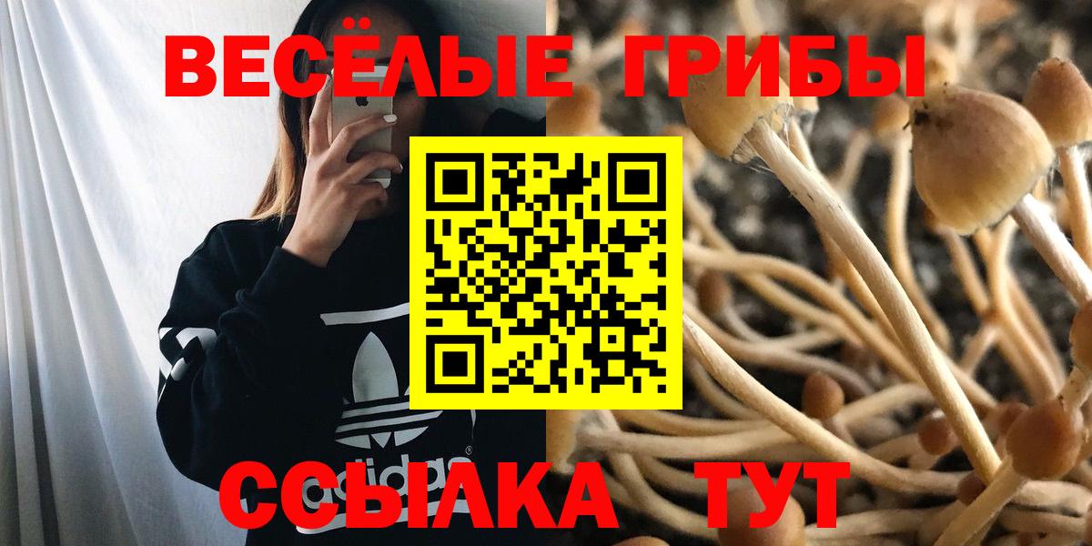 Псилоцибиновые грибы мицелий  Вход с VPN  Псилоцибиновые грибы Cubensis  Керчь 